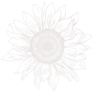 Illustration tournesol